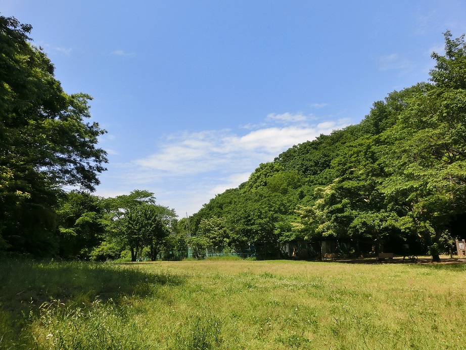 調布市野草園 深大寺自然広場 むさしの ガーデン紀行